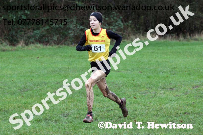 Junior girls Northern Inter Counties Schools Cross Country, Stockton. Photo: David T. Hewitson/Sports for All Pics